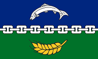 County Flags