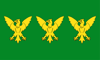 County Flags