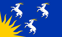 County Flags
