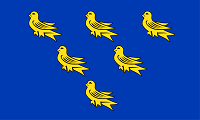 County Flags