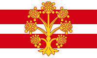 County Flags